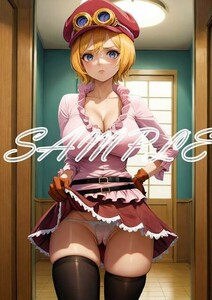 最終出品 Z2055 コアラ ONE PIECE ワンピース A4 同人 イラスト 巨乳 美少女 コスプレ ポスター セクシーアート acg.