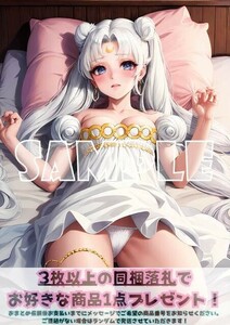 最終出品 Z656 プリンセスセレニティ 美少女戦士セーラームーン A4 同人 イラスト 巨乳 美少女 コスプレ ポスター セクシーアート acg