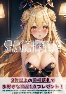 Z1144 星宮六喰 むくろ デートアライブ デアラ A4 同人 イラスト 巨乳 コスプレ Anime アニメ イラストアートポスター セクシーアート acg.