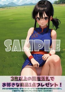 Z1058 チチ DRAGON BALL ドラゴンボール A4 同人 イラスト 美少女 コスプレ Anime アニメ イラストアートポスター セクシーアート acg.