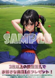 Z1053 チチ DRAGON BALL ドラゴンボール A4 同人 イラスト 美少女 コスプレ Anime アニメ イラストアートポスター セクシーアート acg.