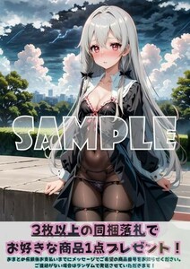 Z1022 ソフィートワイライト となりの吸血鬼さん A4 同人 イラスト 美少女 コスプレ Anime アニメ イラストアートポスター セクシーアート