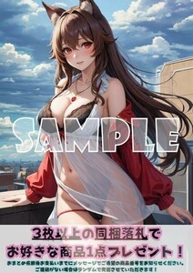 Z1739 ホロ 狼と香辛料 A4 同人 イラスト 巨乳 美少女 コスプレ Anime アニメ イラストアートポスター セクシーアート acg.