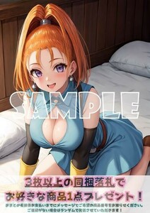 Z1617 バーバラ ドラゴンクエストⅥ ドラクエ DQ6 A4 同人 イラスト 巨乳 美少女 コスプレ Anime アニメ ポスター セクシーアート acg.