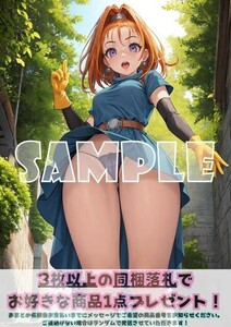 Z1612 バーバラ ドラゴンクエストⅥ ドラクエ DQ6 A4 同人 イラスト 巨乳 美少女 コスプレ Anime アニメ ポスター セクシーアート acg.