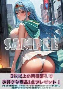 最終出品 Z2161 賢者 ドラゴンクエスト ドラクエ A4 同人 イラスト 巨乳 美少女 コスプレ アニメ セクシーアート ポスター