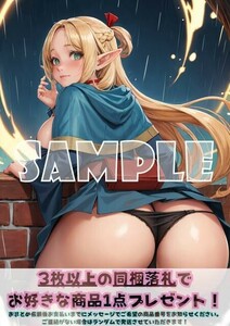 最終出品 Z257 マルシルドナトー ダンジョン飯 A4 同人 イラスト 巨乳 美少女 コスプレ アニメ セクシーアート ポスター