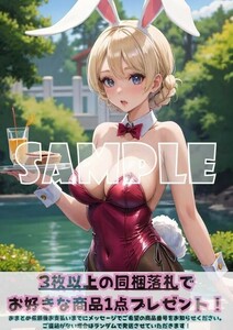 Z237 ダージリン ガールズ&パンツァー ガルパン A4 同人 イラスト 美少女 コスプレ アニメ イラストアートポスター セクシーアート acg.