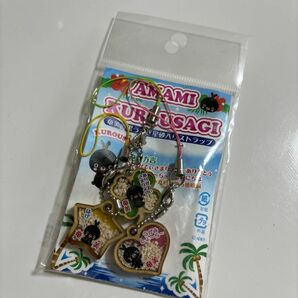 キーホルダー　ストラップ　奄美大島　おみやげ