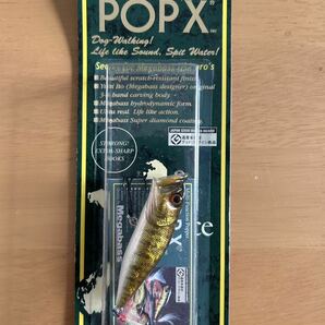 メガバス POP-X GGスモールマウス GPILファントム GG BASS MODENA-BONE PM RAIGYO 未使用5本セットの画像2