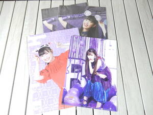  Momoiro Clover Z height castle .. clear file 4 pieces set .. black 