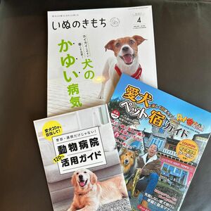 いぬのきもち 2024.4月号 クーポン付き宿ガイド 動物病院活用ガイド