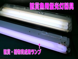 e630# aquarium fish for fluorescent lamp apparatus 2 pcs. set 50/60Hz 60cm new twin light 600 sweet 600..* plant rearing for lamp 