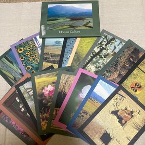 韓国 ポストカード 絵はがき 16枚セットレトロ Woojin press Seoul Korea 80年代 農業 農園 Nature Culture