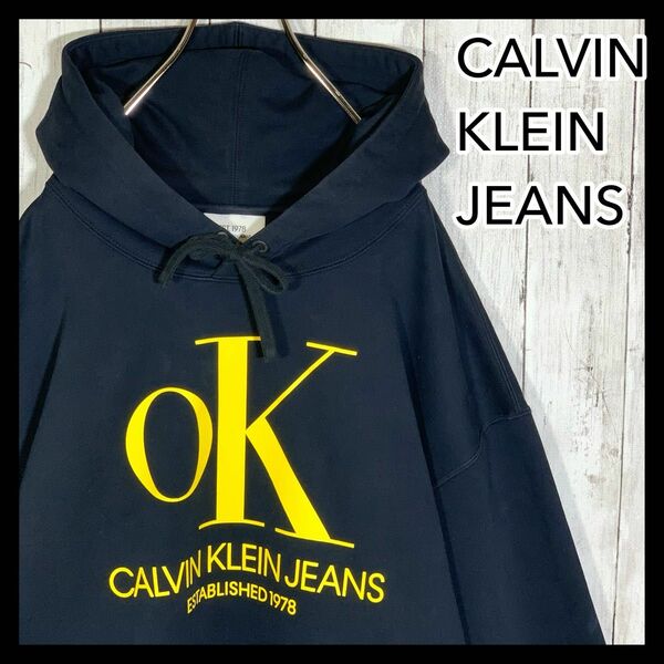 【激レア】 CALVIN KLEIN パーカー L OKビッグロゴ バッグロゴ