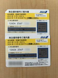 ANA 全日空 株主優待 2枚 期限2024年11月30日