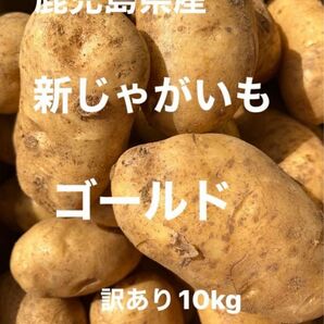 鹿児島県産新じゃがいもゴールド10kg訳ありです。