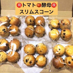 発酵菓子　スリムスコーン　チョコチップ　手作り　焼き菓子