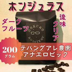 ホンジュラス テパンアグレ農園 アナエロビック 200g 自家焙煎コーヒー豆