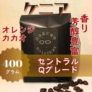 ケニア セントラル Qグレード 400g 自家焙煎コーヒー豆