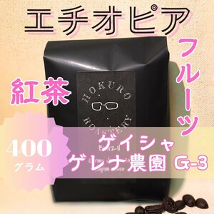 エチオピア ゲイシャG3 ナチュラル 400g 自家焙煎コーヒー豆