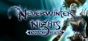 未使用 Steam 日本語未対応 Neverwinter Nights: Enhanced Edition