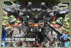 HG 1/144 Mobile Suit Gundam SEED DESTINYte -stroke roi Gundam unused goods 