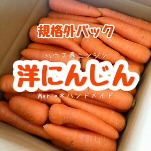 【規格外】洋にんじん　6.5kg　ハウスニンジン　人参　野菜　産地直送　期間限定