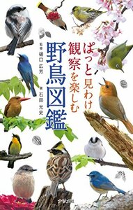  suddenly see .. observation . comfort wild bird illustrated reference book 