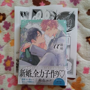 新品購入一読★新刊BLコミ★離婚しやがれ、α様 love nest★紺色ルナ★帯有ぺーパー2枚付★1.3センチ★コミコミスタジオ