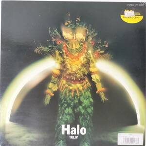 46745★美盤 チューリップ / Halo 