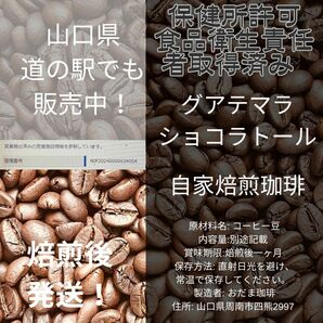 グアテマラ　コーヒー豆　自家焙煎　珈琲　200g 焙煎珈琲豆