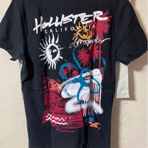 ホリスター　HOLLISTER Tシャツ