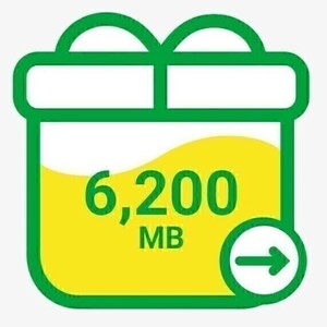 6.2GB mineo パケットギフト 6200MB 即決