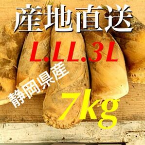 静岡県産！朝掘り！新鮮！ たけのこ 7kg＋ ！米ぬか付き♪