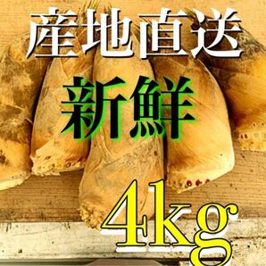 朝掘り！新鮮！ たけのこ 4kg＋　米ぬか付き♪ 予約販売