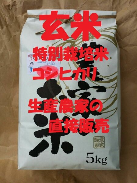 ◆新米◆[玄米]特別栽培米コシヒカリ５kg生産農家の直接販売