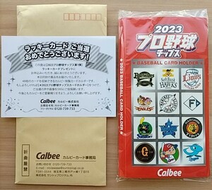 カルビー プロ野球チップス 2023 カードホルダー 新品・未開封・当選通知付き