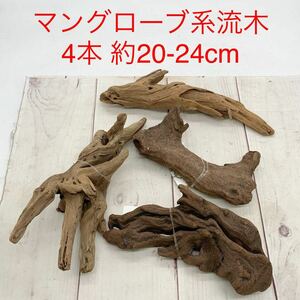 ★B962★ マングローブ系流木 4本 熱帯魚 約20-24cm