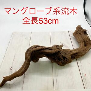 ★B965★ マングローブ系流木 熱帯魚 全長53cm