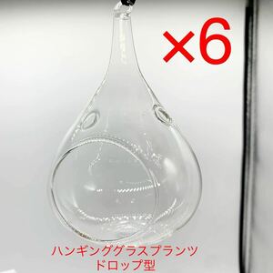 ★B974★ 6点セット ハンギンググラスプランツ ドロップ型 ガラス製 高さ13cm
