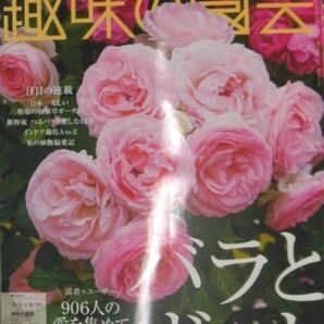 完全新品　NHKテキスト趣味の園芸 2024年 05 月号