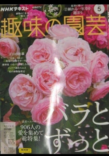 完全新品　NHKテキスト趣味の園芸 2024年 05 月号