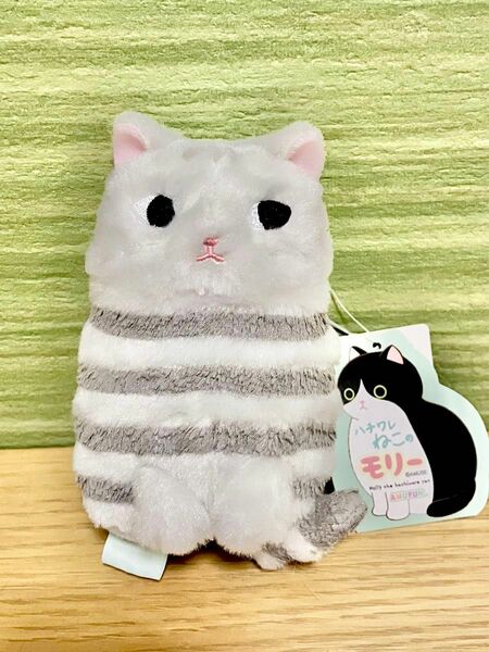 【タグ付き非売品】ハチワレねこのモリー　ぬいぐるみマスコット　サバトラ　タビー　灰色ネコ　グレー猫　キーホルダー