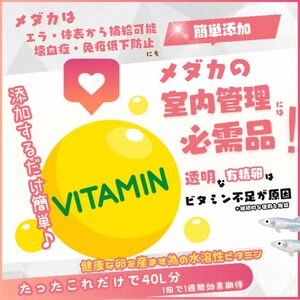 【メダカ専用ビタミン】ビタミン液剤40リットル分