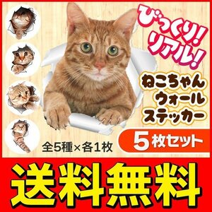 ◆メール便送料無料◆【5枚セット】ねこちゃん柄 ウォールステッカー 5P 壁/冷蔵庫/ガラス窓に インテリア 雑貨 税込特価 ◇ とびだす猫DL