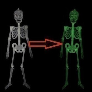 在庫限り ハロウィン 装飾 飾り スカル 骸骨 自由に関節を動かせる 蛍光 約30㎝ B181003