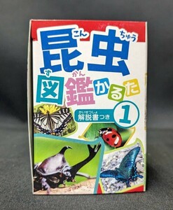 かるた 昆虫図鑑かるた 解説書つき1 パーティーグッズ イベント 知育玩具 B240118