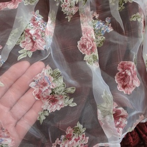 LIZ LISA のかわいいスカートの画像4