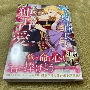 【在庫確認必須！】極上騎士団長の揺るぎない独占愛　３ （ＢＦ　ＣＯＭＩＣＳ　な３－３） 直江亜季子／作画　黒乃梓／原作